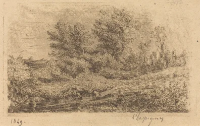 Boomgroep bij een Rivier (Stand of Trees on a River)