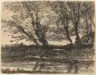 Landschap