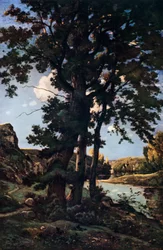 Eikenbomen in Chateaunenard, Frankrijk