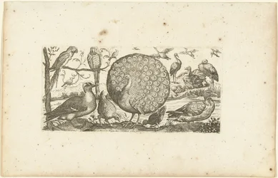 Achttien vogels