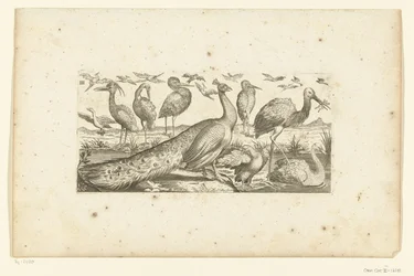 Negentien vogels