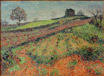 Landschap