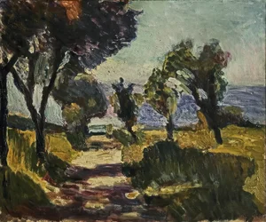 Corsicaans landschap met olijfbomen