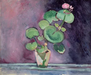Geranium in een pot (olieverf op doek)