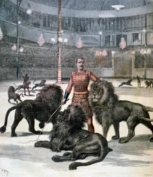 Leeuwentemmen in het Lhippodrome, Parijs