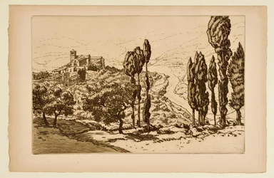 [De basiliek van Assisi, gezien vanaf La Rocca]