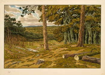 Het Bos