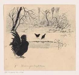 Eenden, vogels en haan bij een bevroren plas