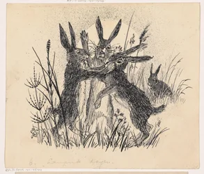 Vechtende hazen