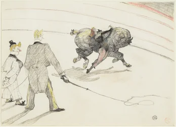 In het circus: acrobaten