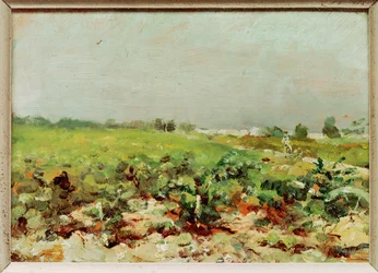 Uitzicht op de wijngaarden