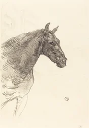 Oud Paard