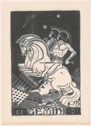 Sterrenbeeld tweelingen