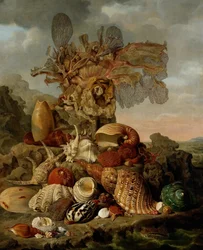 Schelpjes en Zeewieren