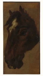 Paardenhoofd