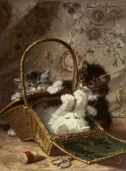 Jonge katten met een naaikorf