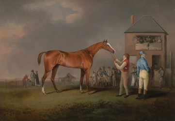 Quiz, na zijn laatste race in Newmarket