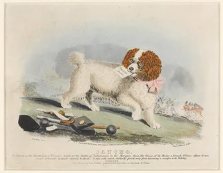 Sancho, Slag bij Salamanca, 1812