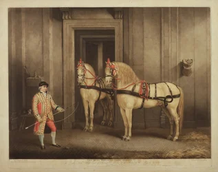Twee van Zijne Majesteits staats paarden, gegraveerd door William Ward, 1 september 1800