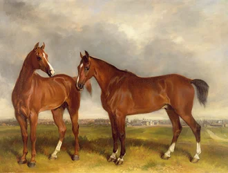 Jagers in een paddock, een stad daarachter