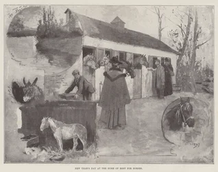 Nieuwjaarsdag in het Rusthuis voor Paarden