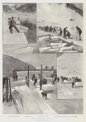 De ijsoogst in Davos