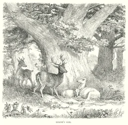 De vrolijke vrouwen van Windsor (gravure)