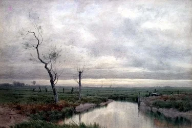Kustmoerassen