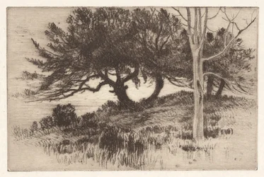 Dichtbij de Zee