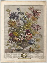 Twaalf maanden bloemen: April