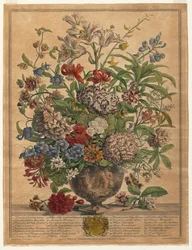 Twaalf Maanden van Bloemen: Juli