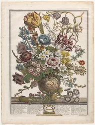 Twaalf maanden bloemen: maart, 1730