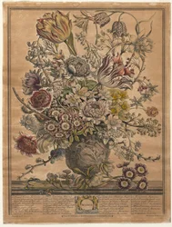 Twaalf maanden bloemen: Maart