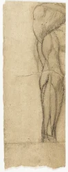 Studies van naakten