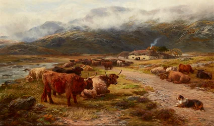 Highland Drove rustend, Argyllshire