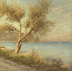 De Moerbeiboom