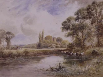 Landschap met weiden en drinkend vee
