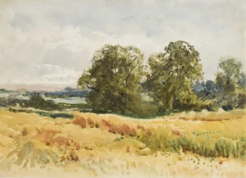 Oogstveld, ca. 1910