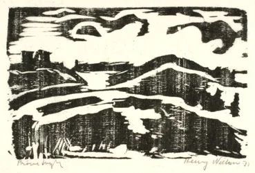 Landschap met heuvels