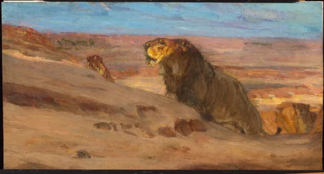 Leeuwen in de woestijn