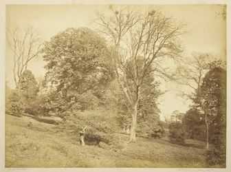 Kraaienschieten