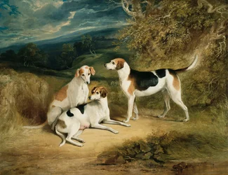 De honden van de hertog van Rutland met Belvoir Castle in de verte