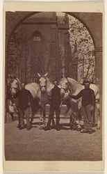 [Drie mannen poseren met drie witte paarden].
