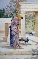 "Summer is here" Gedrapeerde jonge vrouw en een pauw op een antiek marmeren terras. Schilderij van Henry Ryland (1856-1924) (classicisme)