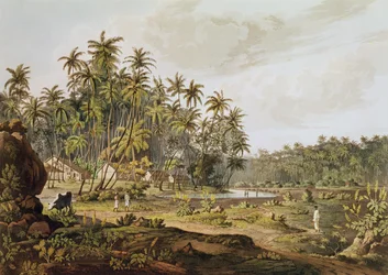 Uitzicht nabij Point du Galle, Ceylon, gegraveerd door Daniel Havell (1785-1826) gepubliceerd in 1809