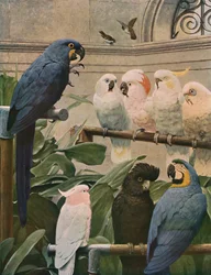 Een speciale commissie, 1891, ca. 1930