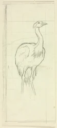 Staande vogel