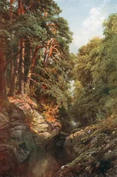 Een beboste kloof, Killin, Perthshire (kleurenlitho)