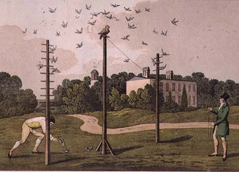 Uilenjacht, gegraveerd door I. Clark, uitgegeven door T. McLean, Londen