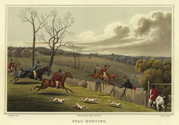 Hertenjacht